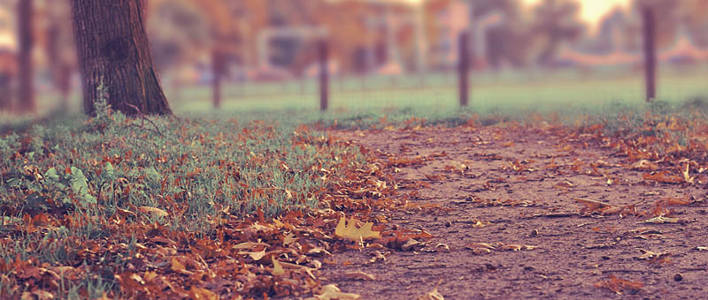 ddos压力在线测试平台